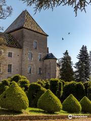 Castle of Santenay