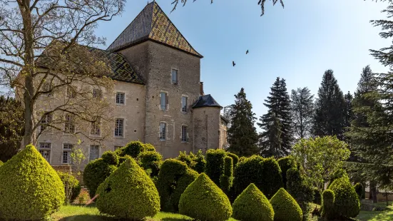 Castle of Santenay