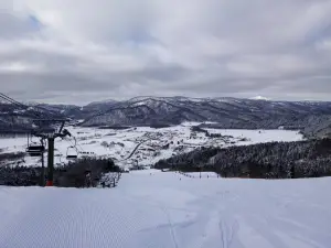 Otoifuji Ski Area