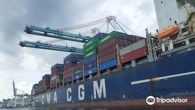 Tranquility Catamaran