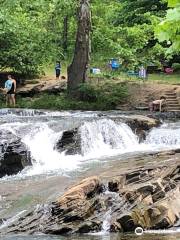 Turkey Creek Nature Preserve