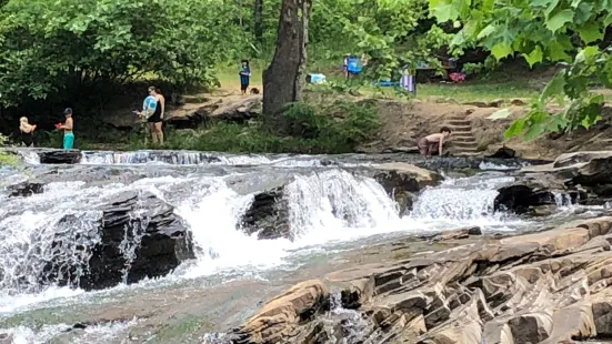 Turkey Creek Nature Preserve