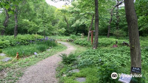 沂青山植物園