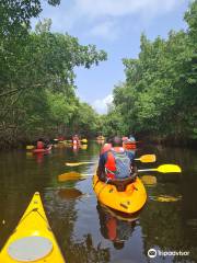 Kayak Aventure Mangrove