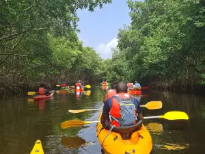 Kayak Aventure Mangrove