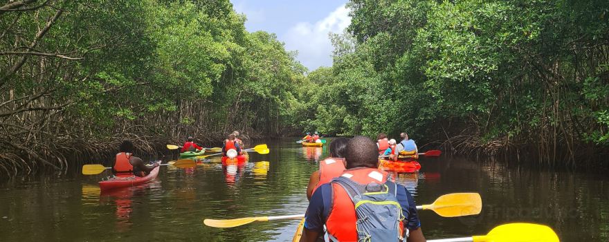 Kayak Aventure Mangrove