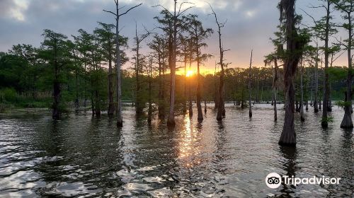 Black Bayou Lake National Wildlife Refuge