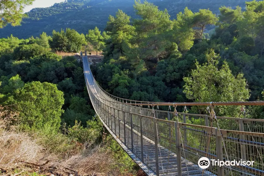 Hanging Bridge at Nesher Park