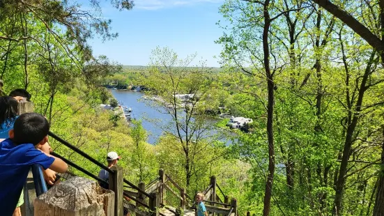 Mt Baldhead Park Trail