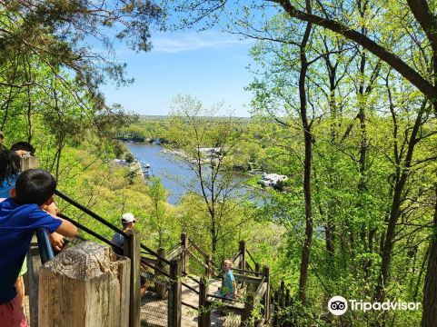 Mount Baldhead Park