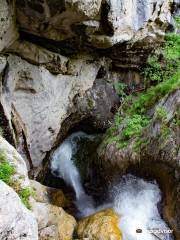 Barenschutzklamm