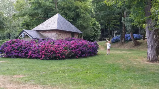 Circuit des Hortensias