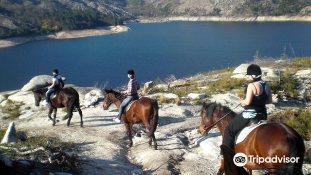 EquiCampo - Turismo de Montanha Lda..