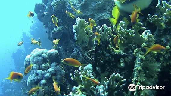Marsa Alam