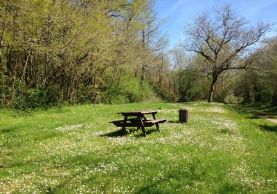 Reserve Naturelle Regionale of the Vallee of the Renaudie