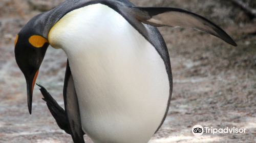 Birdland Park & Gardens