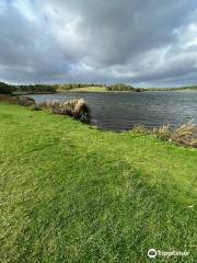 Druridge Bay Country Park