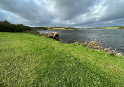 Druridge Bay Country Park