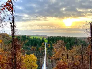 Geierlay Suspension Bridge