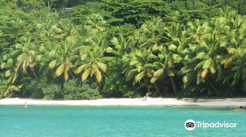 Hawksnest Beach