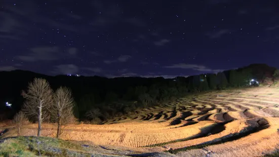 Oyama Rice Terraces