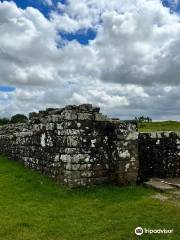 Birdoswald Roman Fort