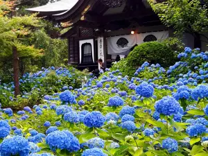 雲昌寺