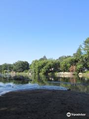 Esopus Bend Nature Preserve