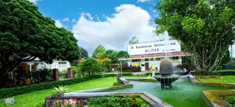Hotel di Modangan