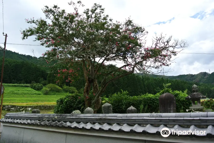 広徳寺