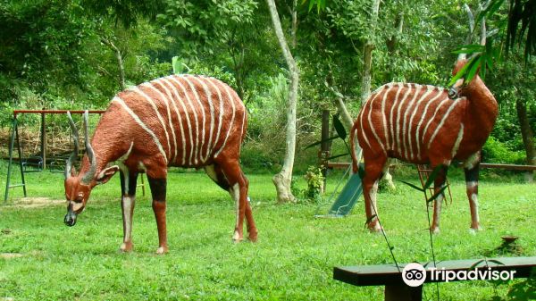 Kakum National Park