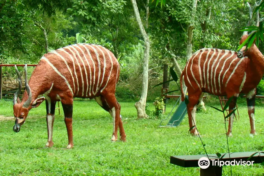 Parc national de Kakum