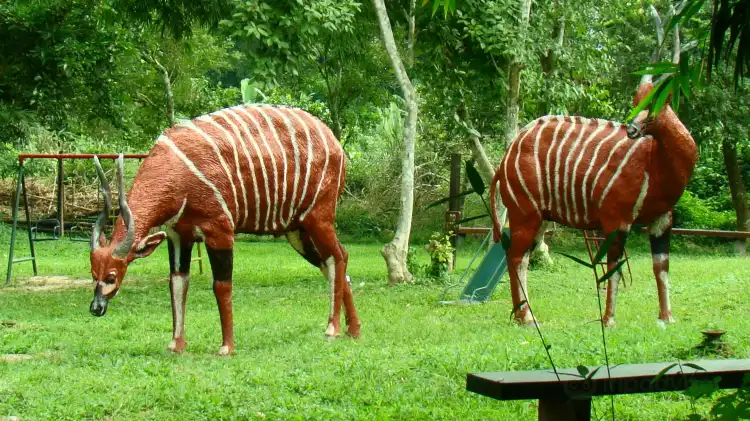 Hotels near Kakum National Park