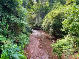 Parque Ecologico Rego dos Carrapatos