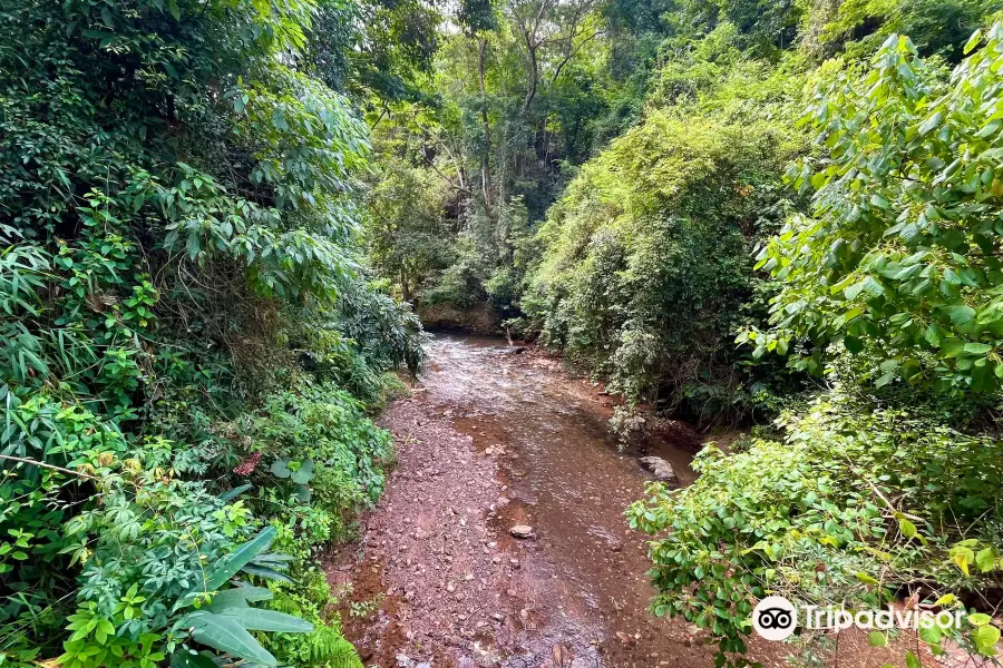 Parque Ecologico Rego dos Carrapatos