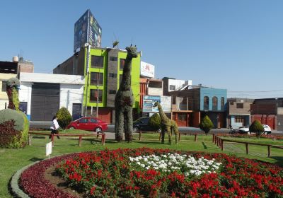 Bosque Municipal de Tacna