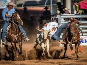 Mount Isa Mines Rodeo HQ