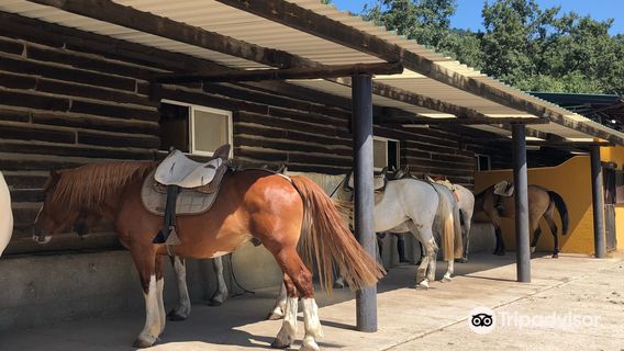 Centro Hipico Los Ciruelos