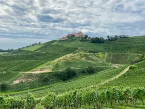 Staufenberg Castle