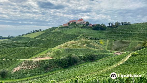 Staufenberg Castle