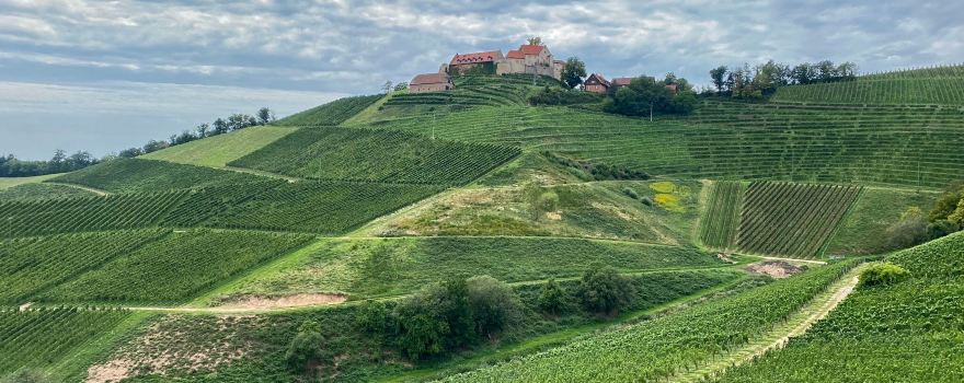 Staufenberg Castle
