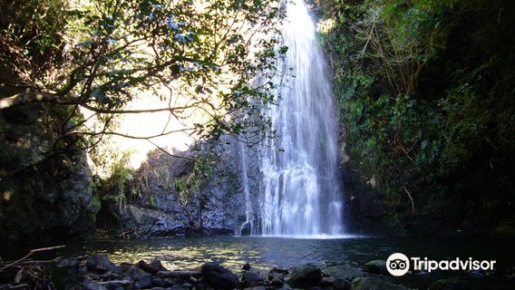 Pohatu Penguin Habitat