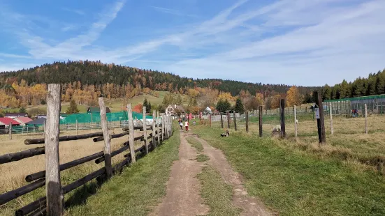 Zoo Łączna ( Świat Lemurów)