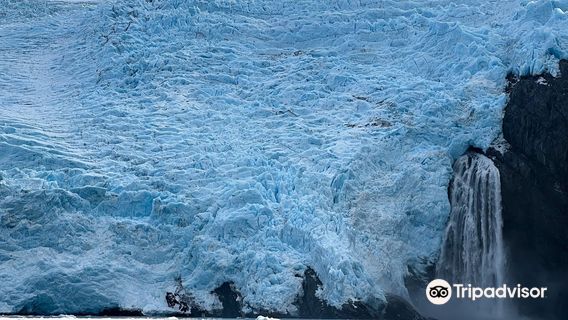 Whittier Marine Charters