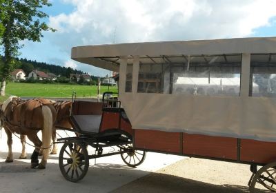 Les calèches du Saut du Doubs