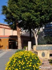 Municipal Archaeological Museum of Cartagena