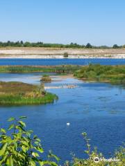 College Lake Nature Reserve