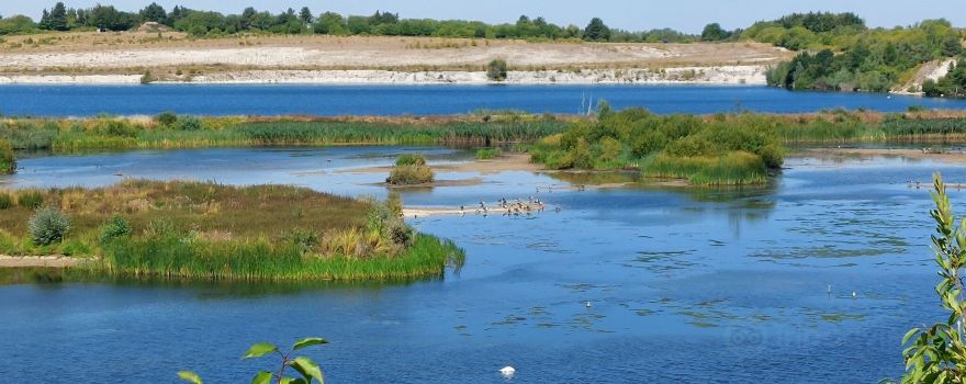 College Lake Nature Reserve