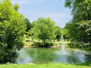 Juknokwon (Bamboo Forest)