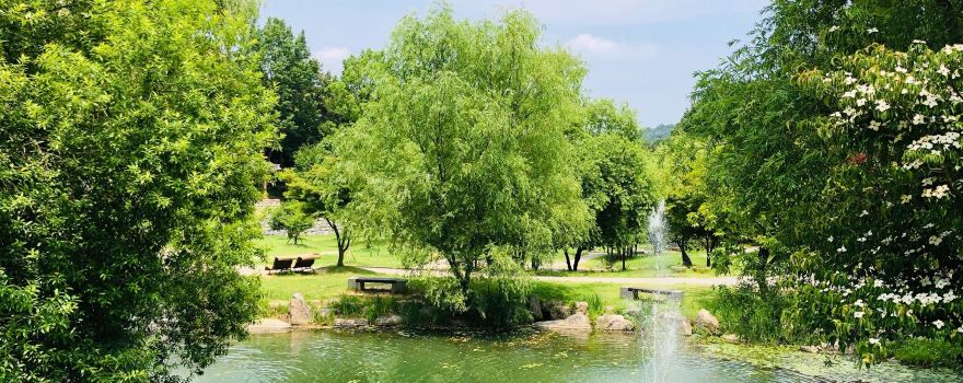 Juknokwon (Bamboo Forest)